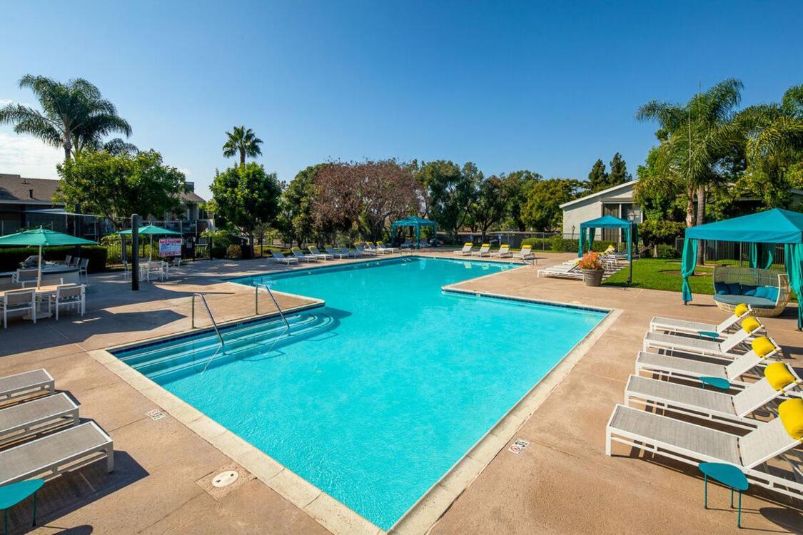 Huge Oceanside Private 2Br Apartment-Pool-Gym-Spa Exteriör bild